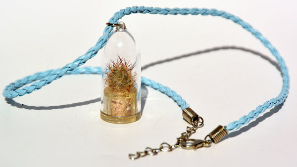 Arizona Cactus Live Necklace Plant - Terrarium Woven  Blue Necklace 