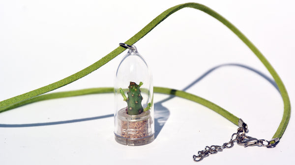 Baby Baobab Live Plant Necklace - Terrarium Suede Green Necklace Live Plant.