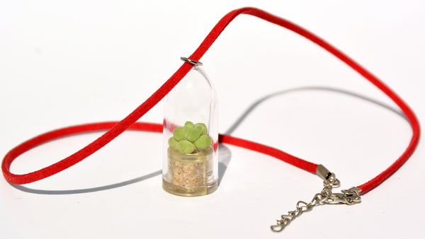Bubbly Live Plant Necklace - Terrarium Suede Red necklace - BooBoo Plant