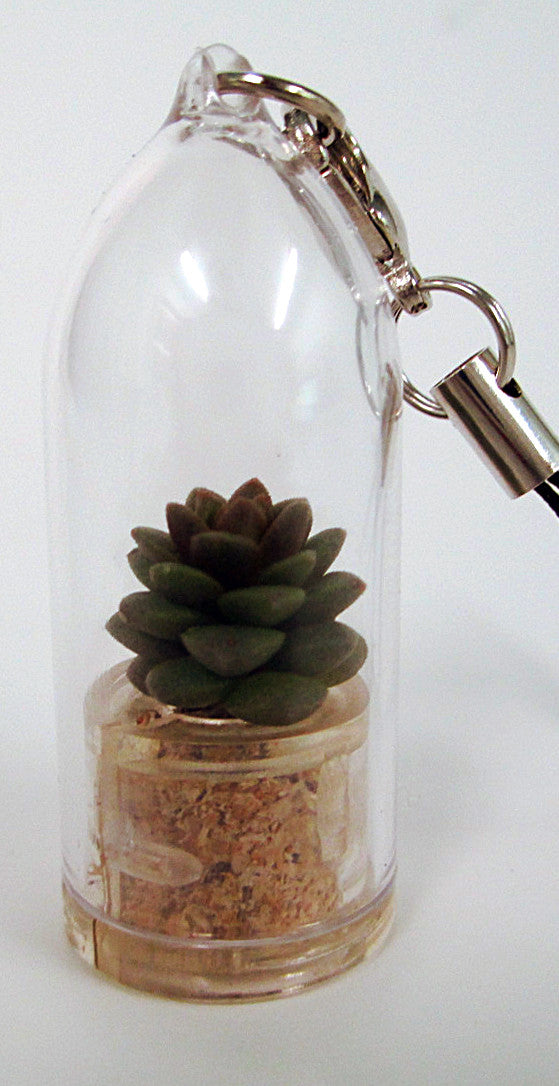succulent keychain Desert Succulent Miniature Terrarium living plants Necklace – Boo-Boo Plant