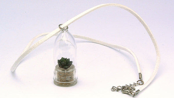 Desert - Terrarium Plant Necklace