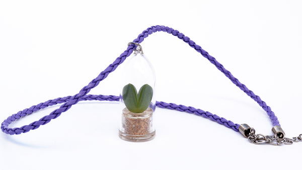 Sweetheart - Live Plant Necklace