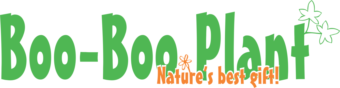 Boo-Boo Plant