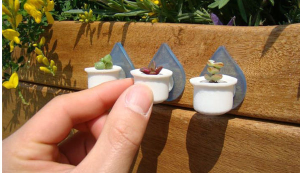 Boo-Boo Nest Air Terrarium Enclosure