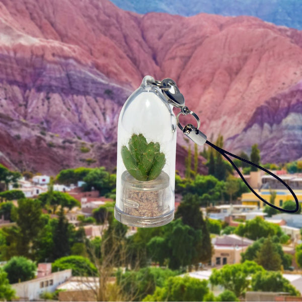 Apple Cactus - Terrarium Plant Necklace