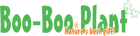 Boo-Boo Plant