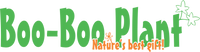 Boo-Boo Plant