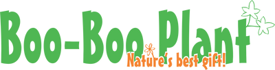 Boo-Boo Plant