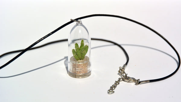 Apple Cactus - Terrarium Plant Necklace