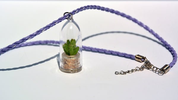 Apple Cactus - Terrarium Plant Necklace