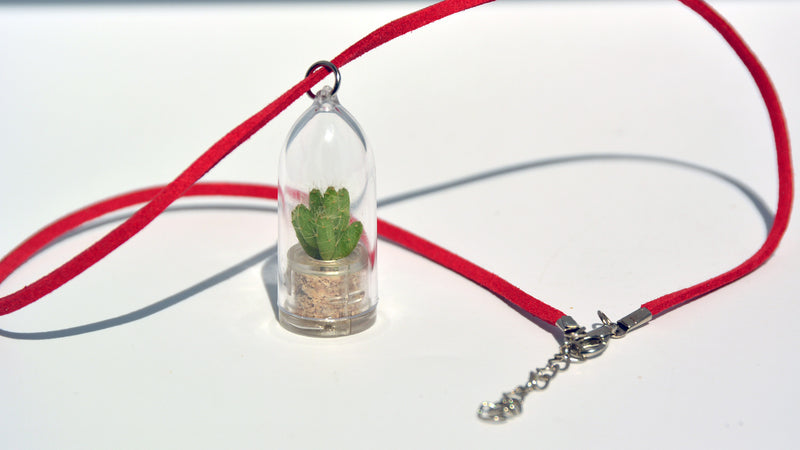 Apple Cactus - Terrarium Plant Necklace