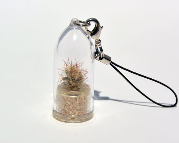 Arizona Cactus Live Necklace Plant - Terrarium Plant Necklace BooBoo Plant