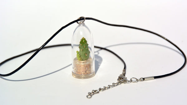 Baby Baobab Live Plant Necklace - Miniature Leather Cowhide Necklace Live Plant.