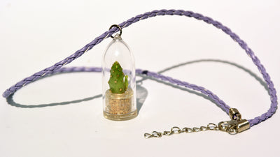 Baby Baobab Live Plant Necklace - Terrarium Woven Purple Necklace Live Plant.