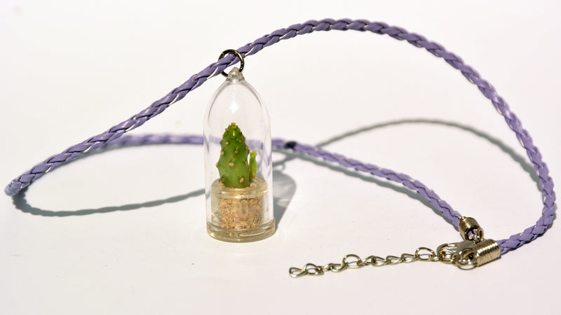 Baby Baobab Live Plant Necklace - Terrarium Woven Purple Necklace Live Plant.