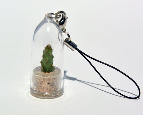 Baby Baobab Live Plant Necklace - Miniature Necklace Live Plant.