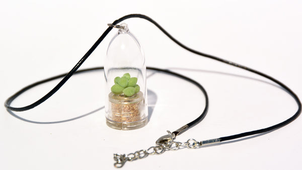 Bubbly Live Plant Necklace - Terrarium Live Plant Leather Cowhide necklace - BooBoo Plant
