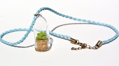Bubbly Live Plant Necklace - Terrarium Woven Blue necklace - BooBoo Plant