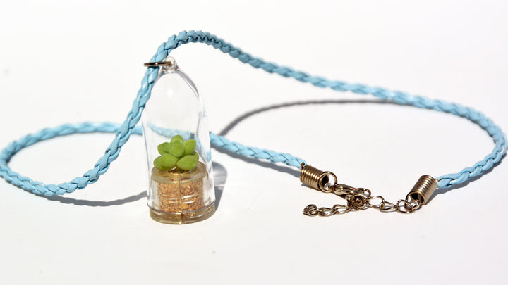 live succulent necklace Bubbly - Live Miniature Terrarium Necklace Plant