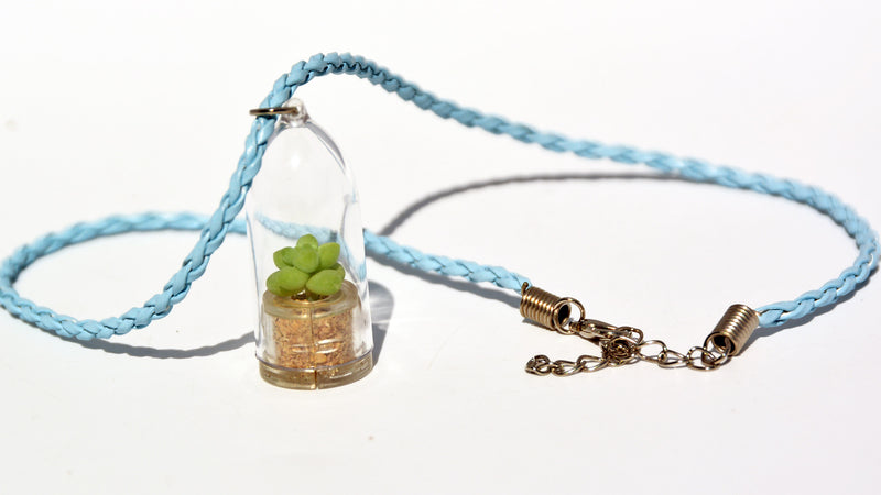 Bubbly Live Plant Necklace - Terrarium Woven Blue necklace - BooBoo Plant