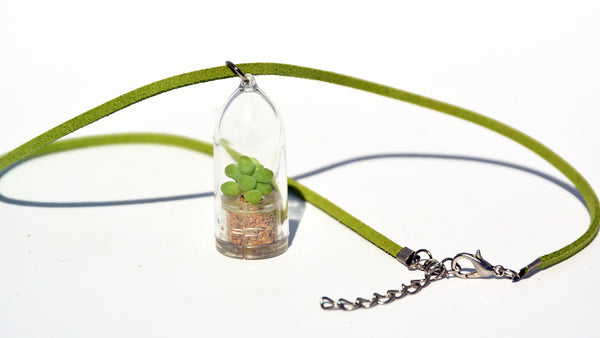 Bubbly Live Plant Necklace - Terrarium Suede Green necklace - BooBoo Plant