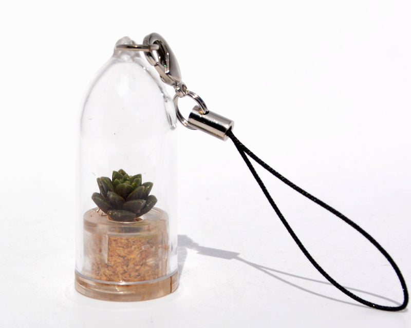 Desert - Terrarium Plant Necklace