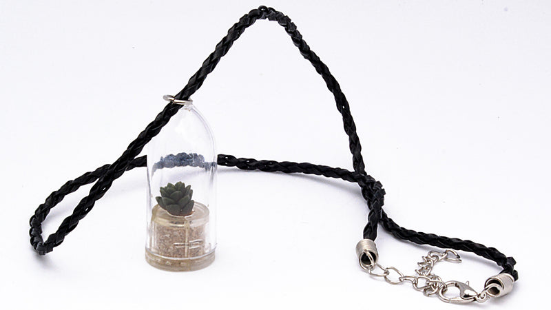 Desert - Terrarium Plant Necklace