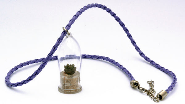 Desert - Terrarium Plant Necklace