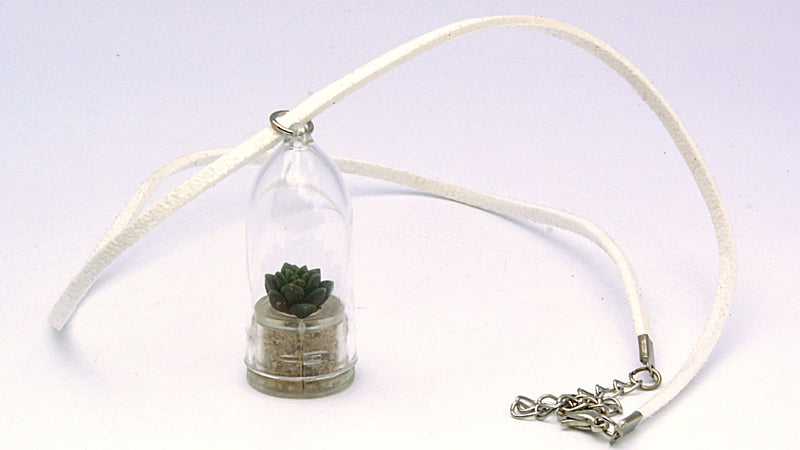 live succulent necklace Dessert Succulent Terrarium Necklace Plant