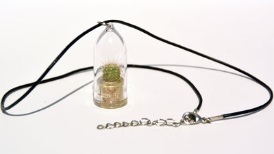 Fluffy - Live Plant Necklace, Terrarium Leather Cowhide necklace plants - BooBoo Plant