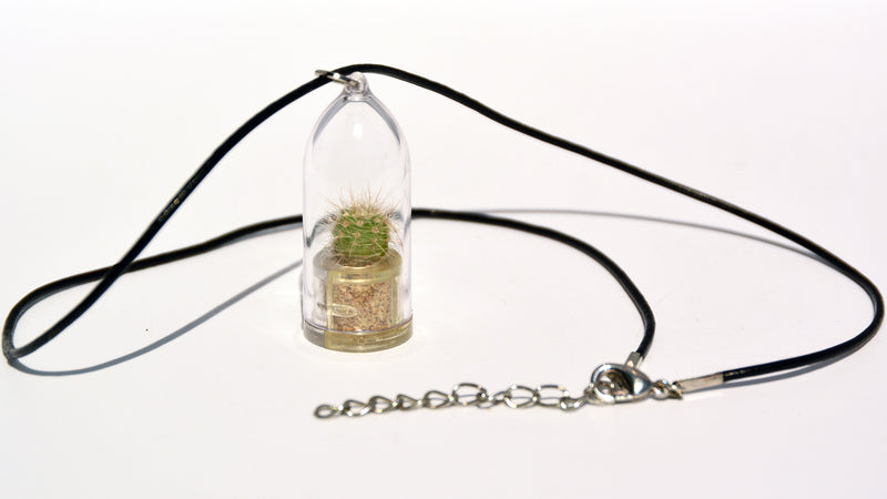 Fluffy - Live Plant Necklace, Terrarium Leather Cowhide necklace plants - BooBoo Plant