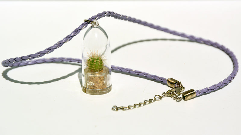 Fluffy - Live Plant Necklace, Terrarium Woven Purple necklace plants - BooBoo Plant
