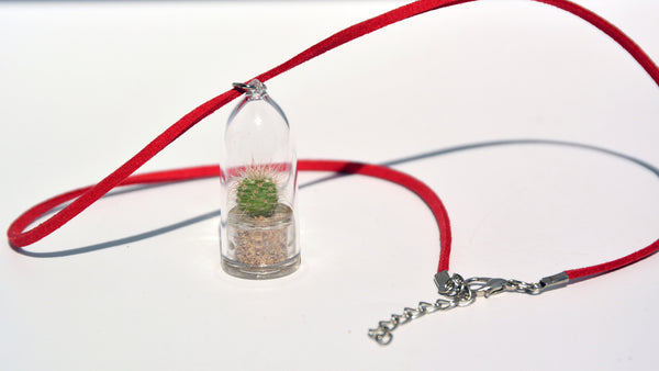 Fluffy - Live Plant Necklace, Terrarium Suede Red necklace plants - BooBoo Plant