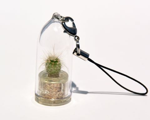 Fluffy - Live Plant Necklace, Terrarium necklace plants - BooBoo Plant