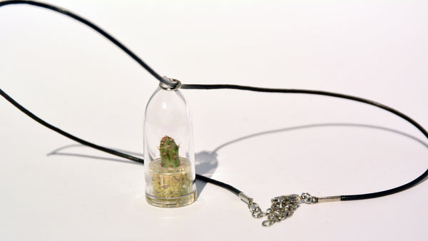 Goldy - Live Plant Necklace - Terrarium Leather Cowhide Boo-Boo Plant 
