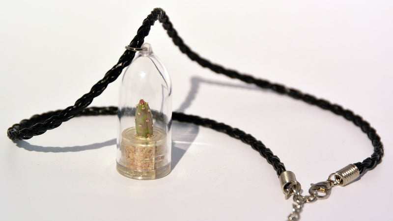 Goldy Live Plant Necklace - Terrarium Woven Black BooBoo Plant