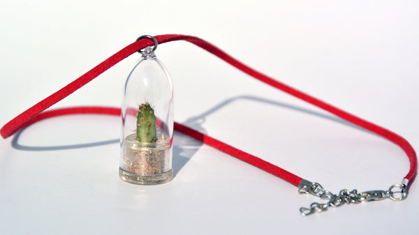 Goldy Live Plant Necklace - Terrarium Suede Red BooBoo Plant