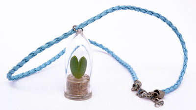 Sweetheart - Live Plant Necklace