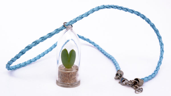 Sweetheart - Live Plant Necklace