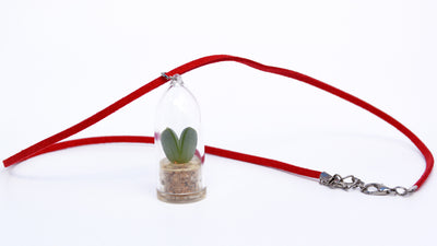 Sweetheart - Live Plant Necklace