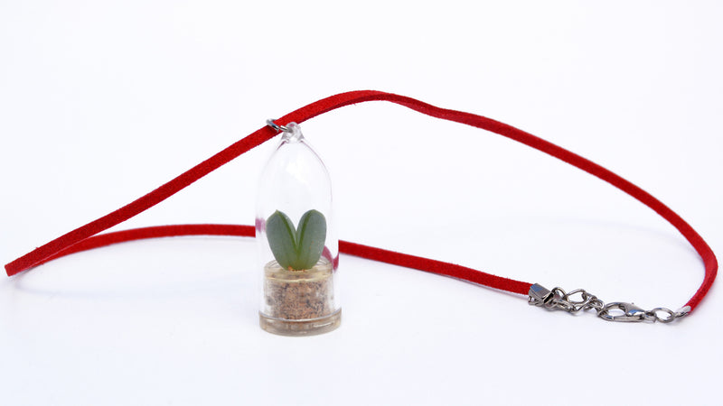 Sweetheart - Live Plant Necklace
