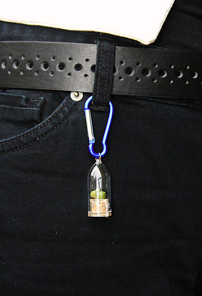 Miniature Terrarium Plant Clip color blue 