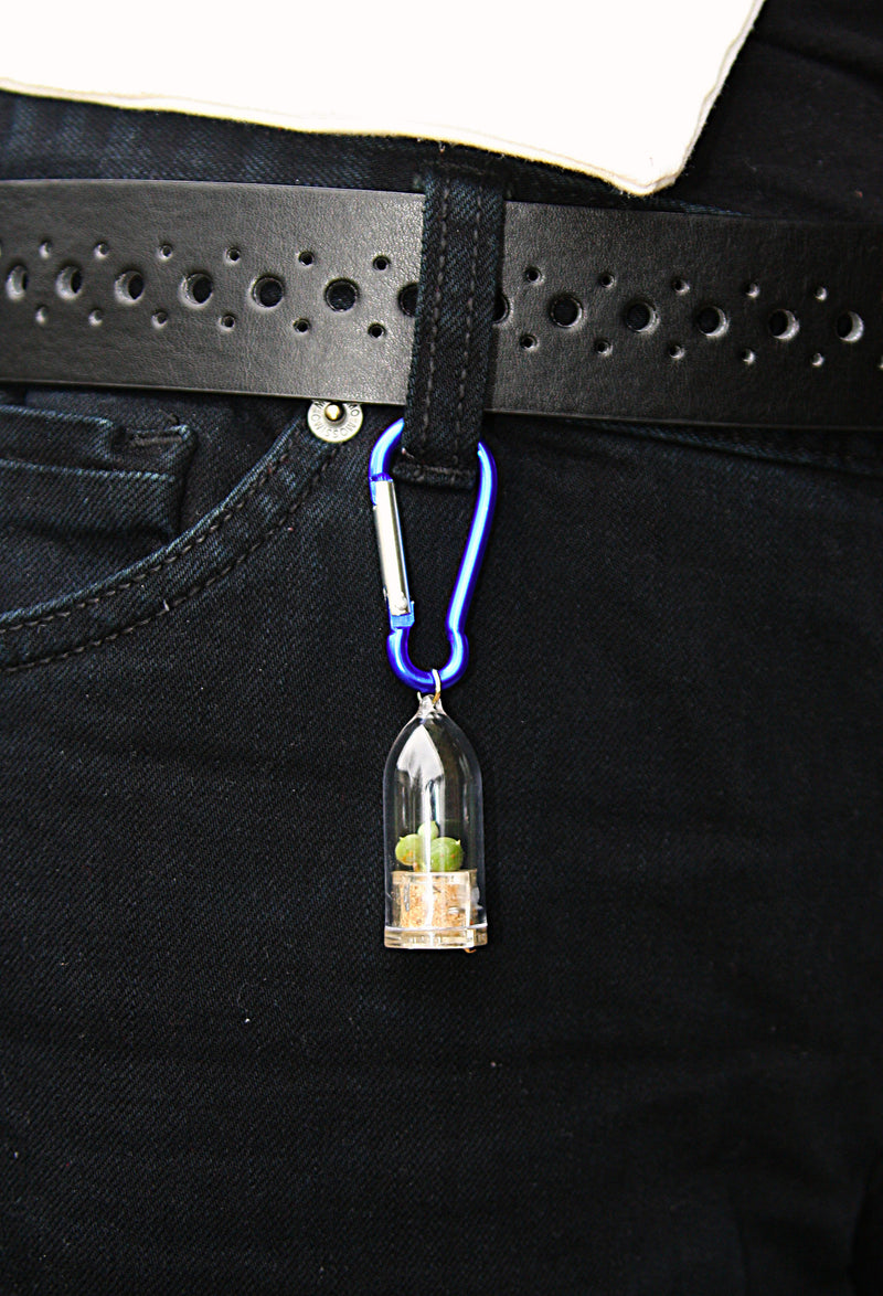 Miniature Terrarium Plant Clip color blue 