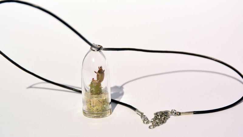 Needle - Live Plant Necklace - Terrarium Leather Cowhide Necklace Boo-Boo Plant 