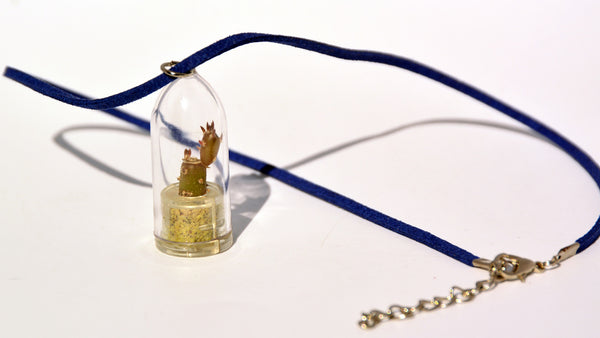Needle - Live Plant Necklace - Terrarium Suede Blue Necklace Boo-Boo Plant 