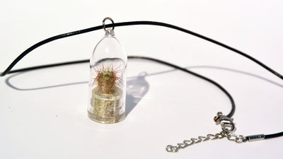 Palms Live Necklace - Terrarium Cowhide Live Necklace plant 