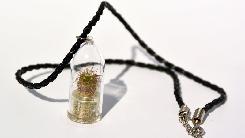 Palms Live Necklace - Terrarium Woven Black Live Necklace plant 