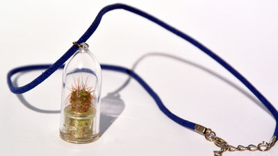 Palms Live Necklace - Terrarium Suede Blue Live Necklace plant 