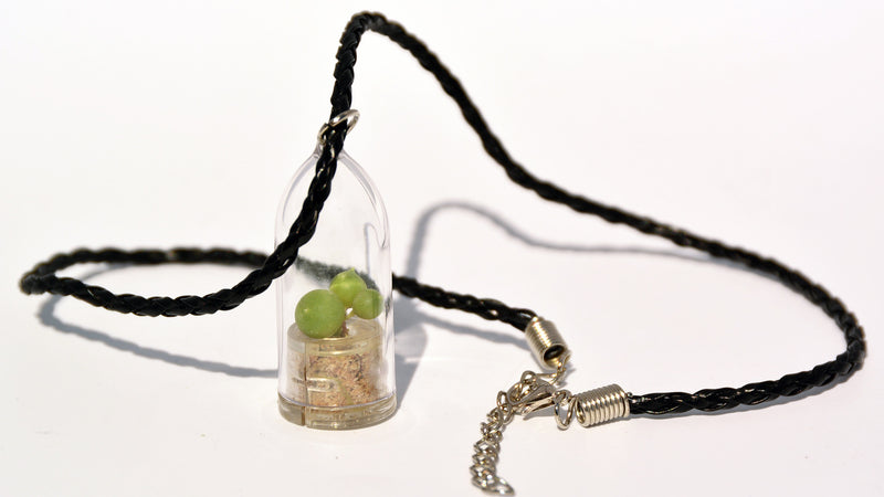 Pearls Live Necklace Plant - Terrarium Woven Black Necklace plant BooBoo Plant.