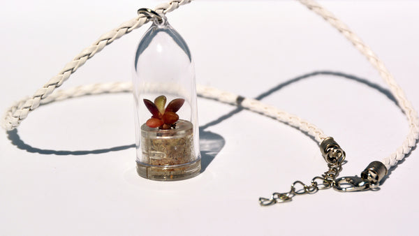 Pinky Rose Live Plant Necklace - Terrarium Woven White Necklace Living Plant BooBoo Plant.